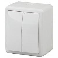 Выключатель накладной Эра Эксперт 2-кл. IP54 белый Б0020675 картинка